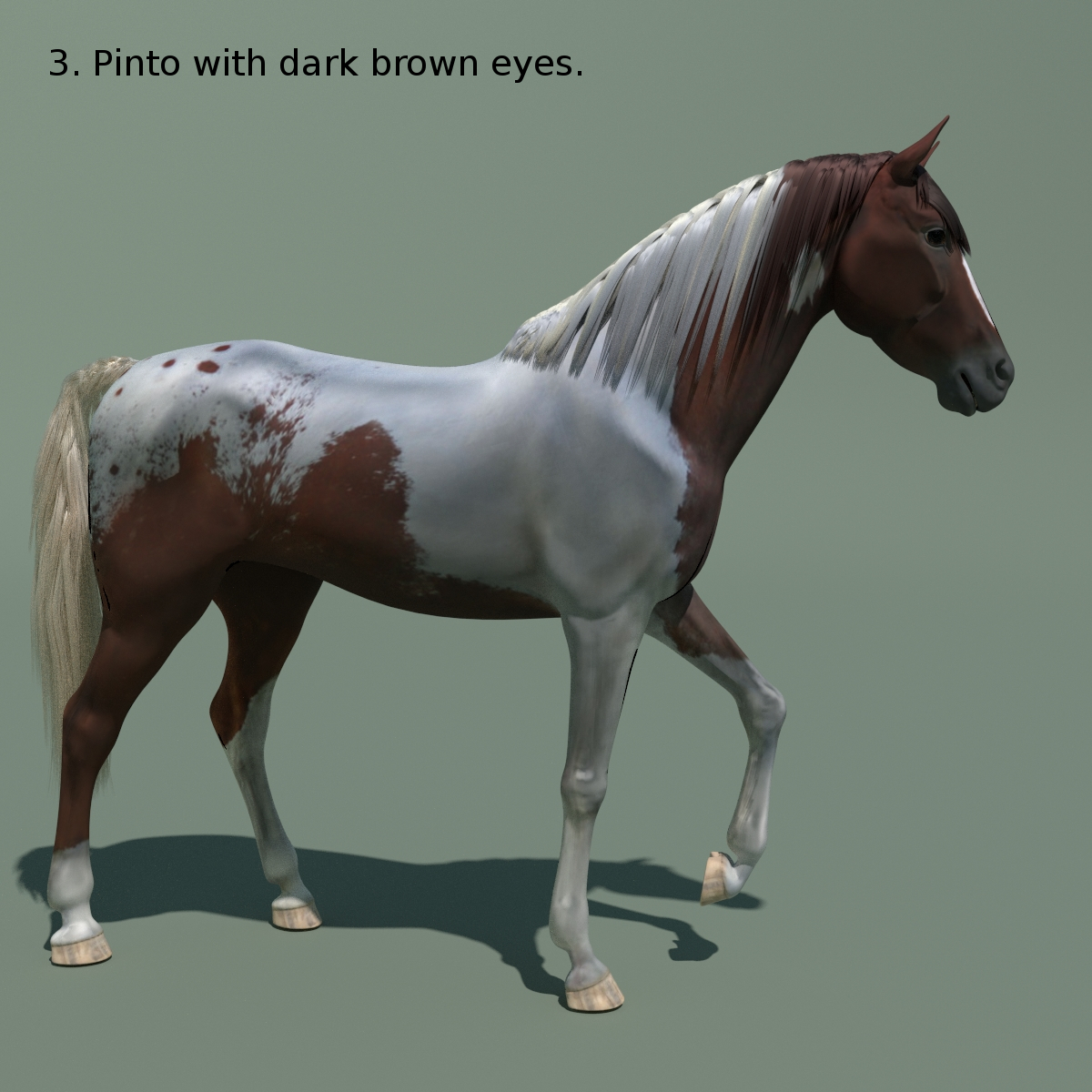 Blender Horse Animations Colour 3d 3ds