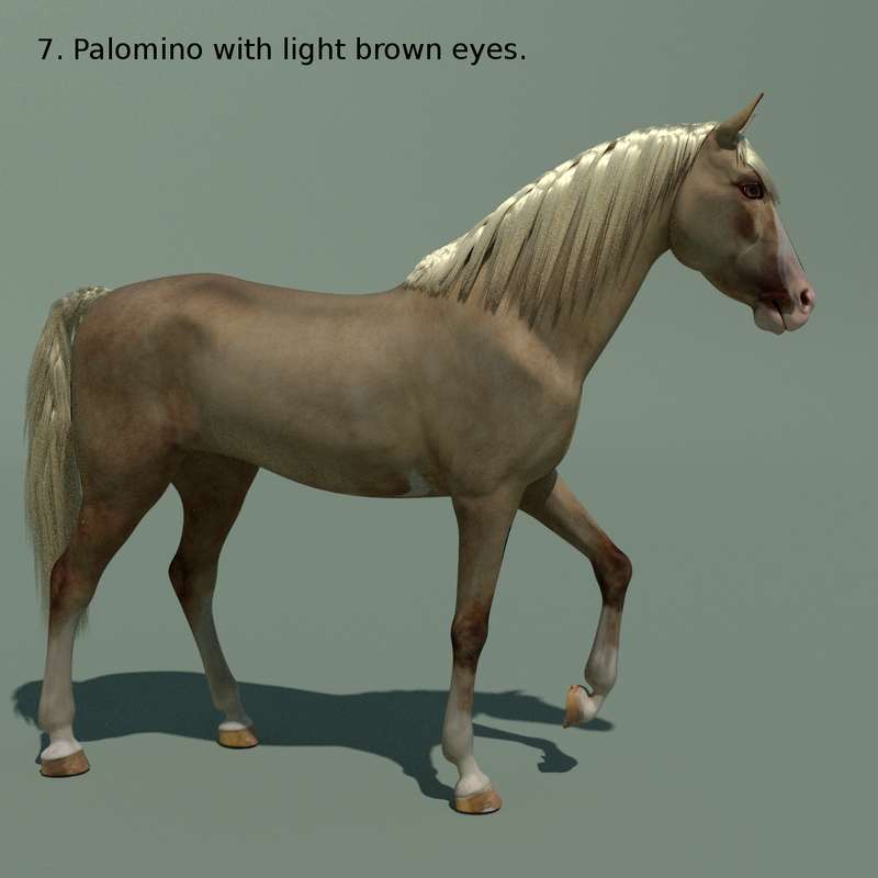 Blender Horse Animations Colour 3d 3ds