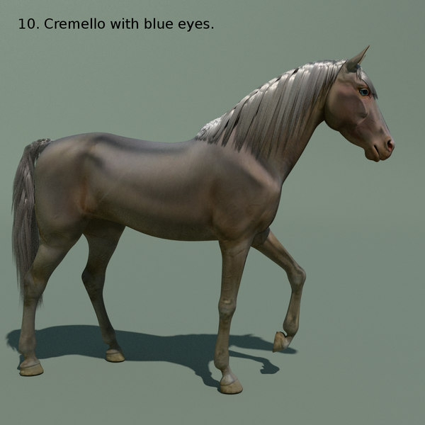 Blender Horse Animations Colour 3d 3ds