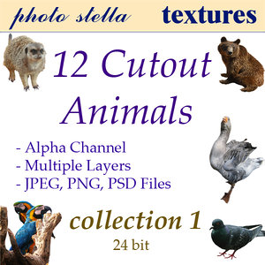 animal collection 1