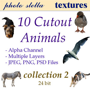 animal collection 2