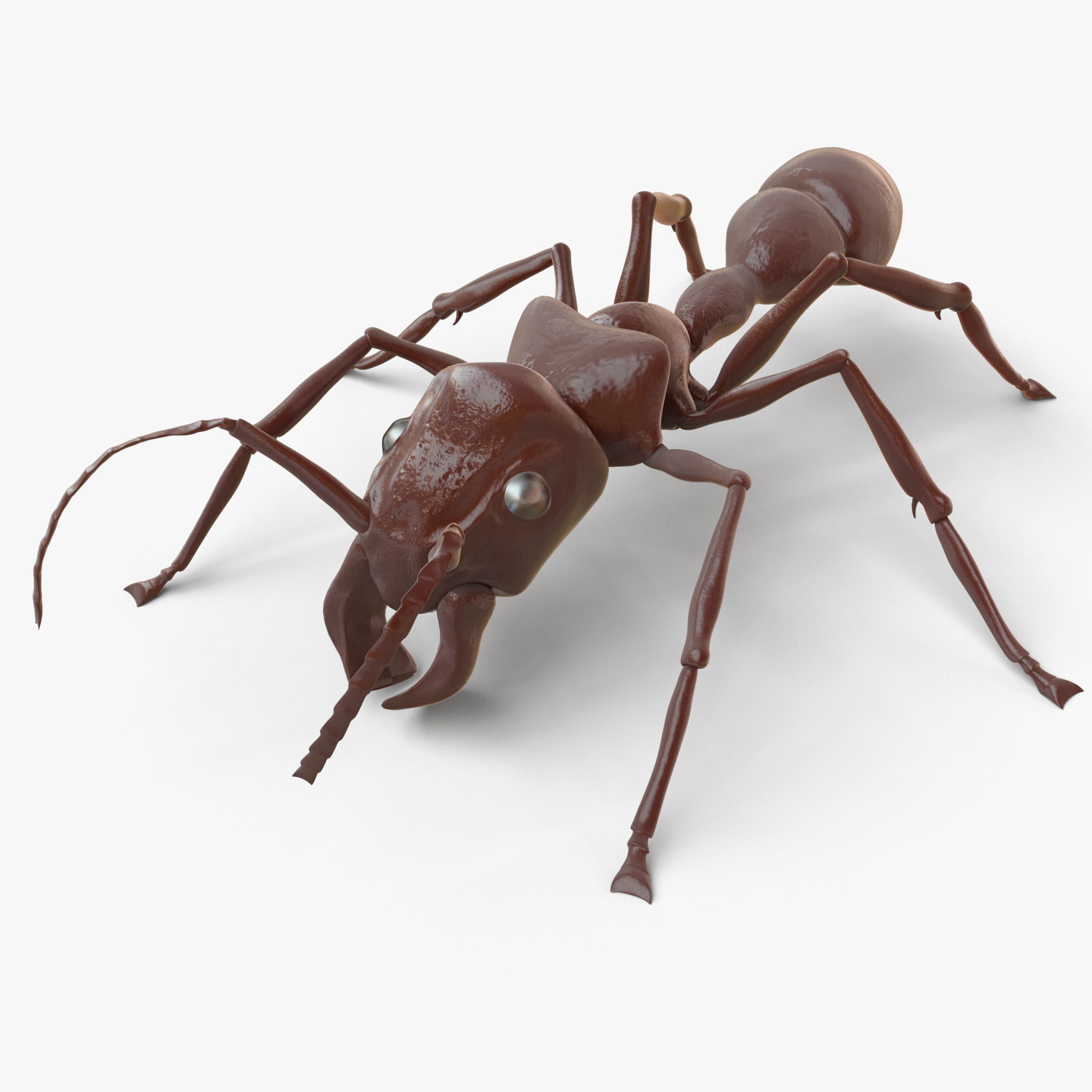 3d model bullet ant rigged