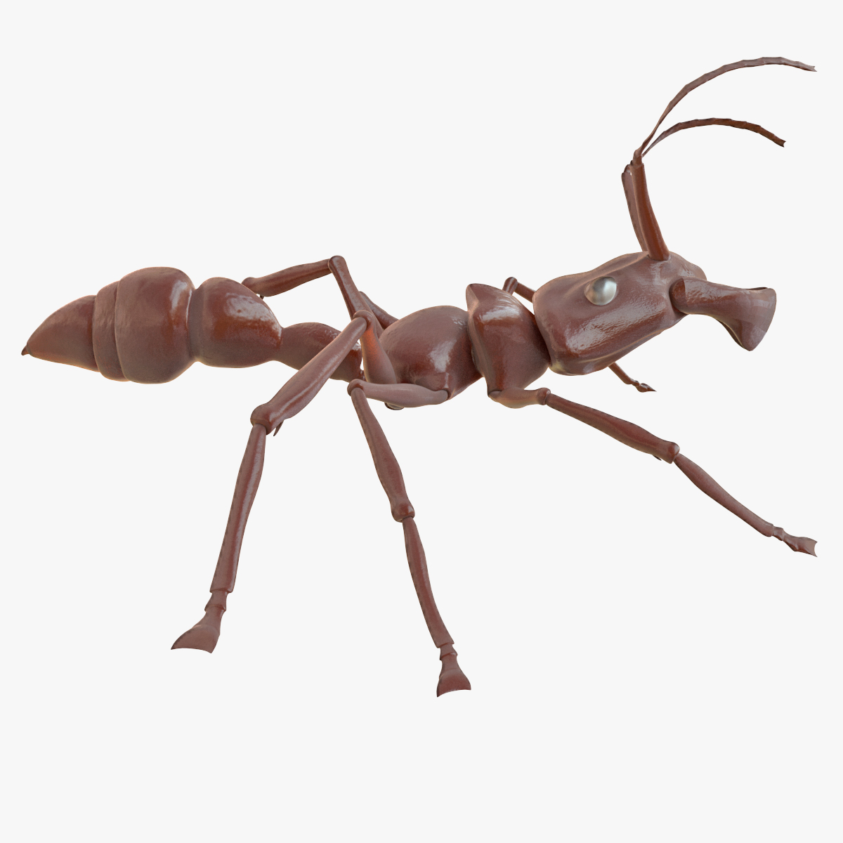 3d model bullet ant rigged