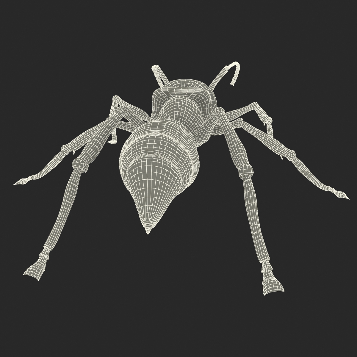 bullet ant rigged3d模型