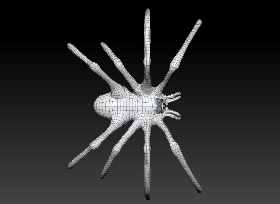 maya scary spider