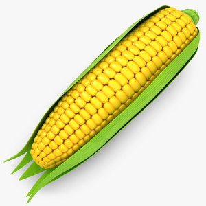 3d realistic corn