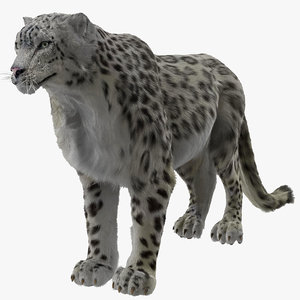 snow leopard fur 3d model