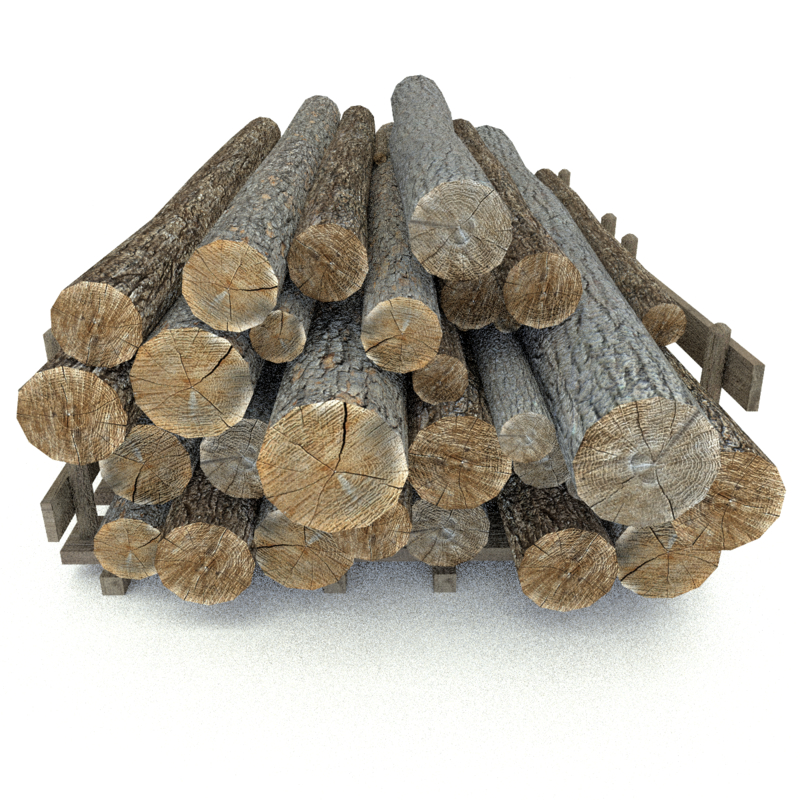 wood log 4 type 3d model