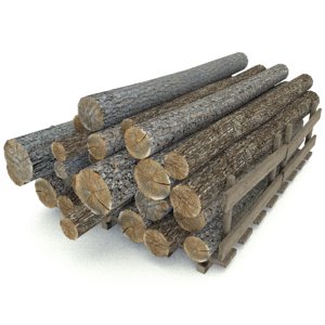 wood log 4 type 3d model