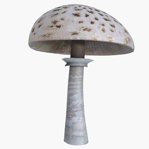 3d parasol mushroom model