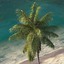 coconut palm trees 3d obj