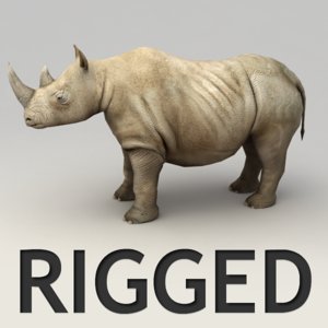 rigged rhino 3d obj
