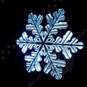 3d snow snowflake flake model