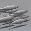 mackerel 3d model