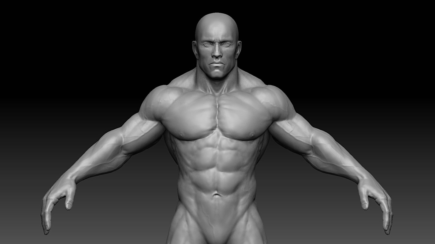 3d Model Muscular Male Body 6865