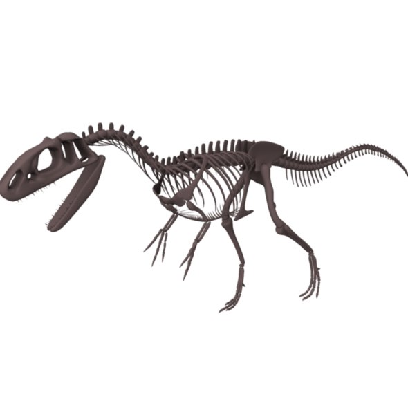 obj allosaurus skeleton dinosaur