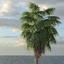 3d washingtonia palm tree