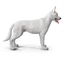 3dsmax white shepherd dog
