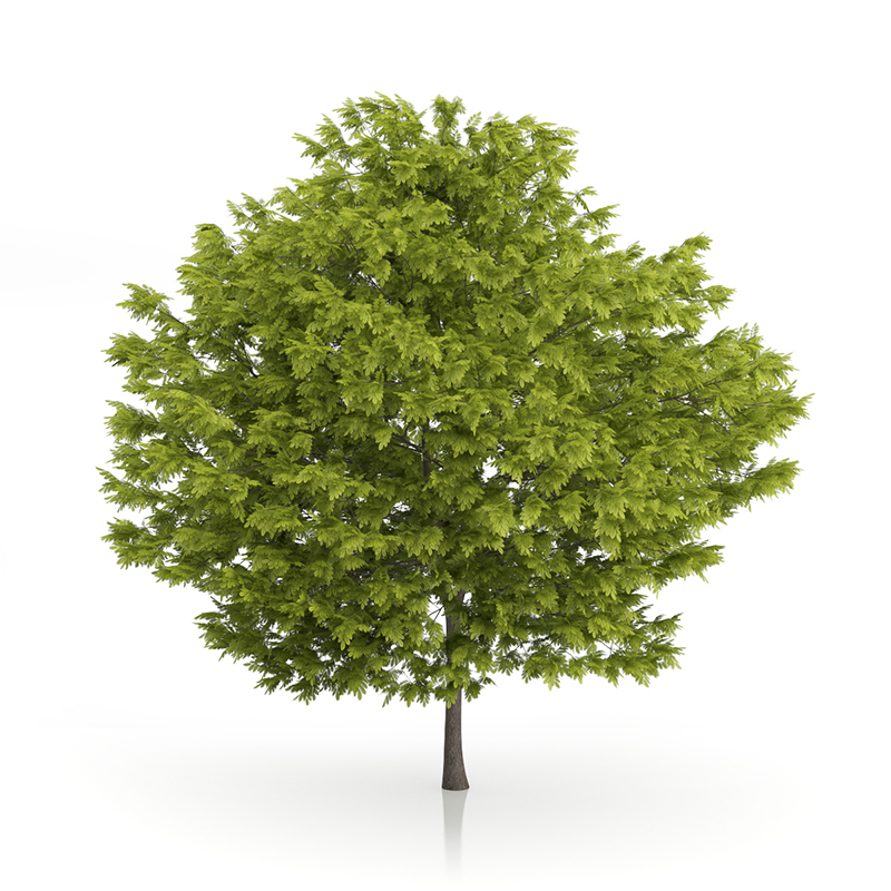 3d trees volume 54 v https://static.turbosquid.com/Preview/2014/11/27__03_33_00/vol54_all.jpg0909cb76-2fcf-4223-9604-27525f3bc220Original.jpg