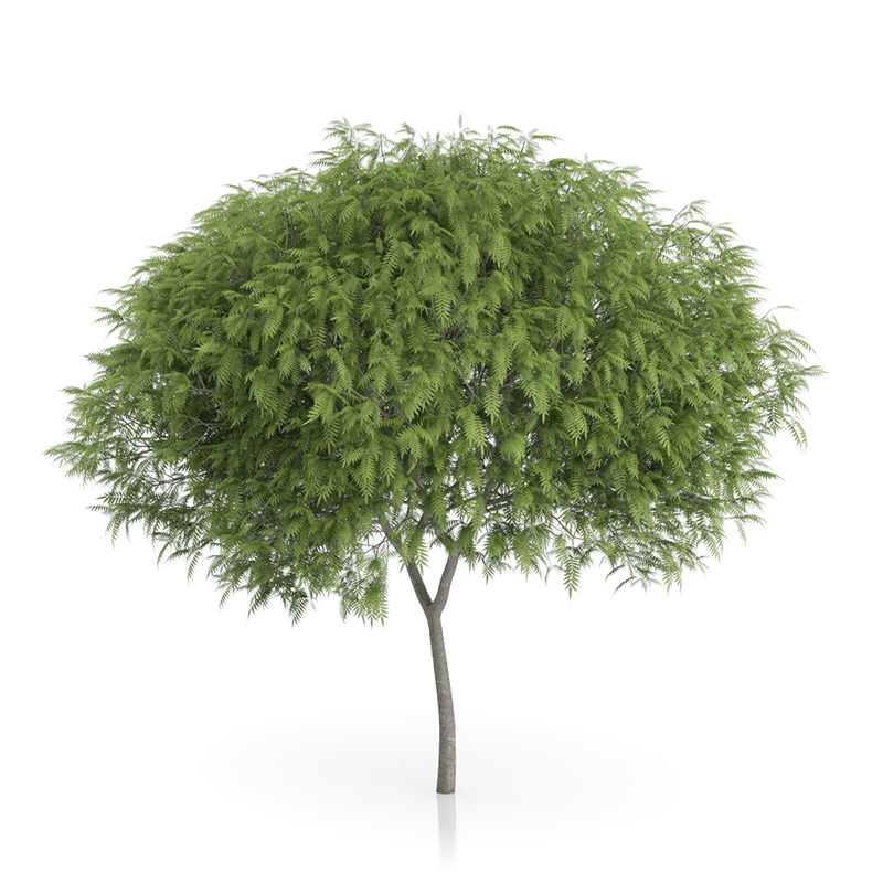 3d trees volume 54 v https://static.turbosquid.com/Preview/2014/11/27__03_33_00/vol54_all.jpg0909cb76-2fcf-4223-9604-27525f3bc220Original.jpg