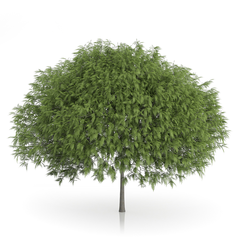 3d trees volume 54 v https://static.turbosquid.com/Preview/2014/11/27__03_33_00/vol54_all.jpg0909cb76-2fcf-4223-9604-27525f3bc220Original.jpg