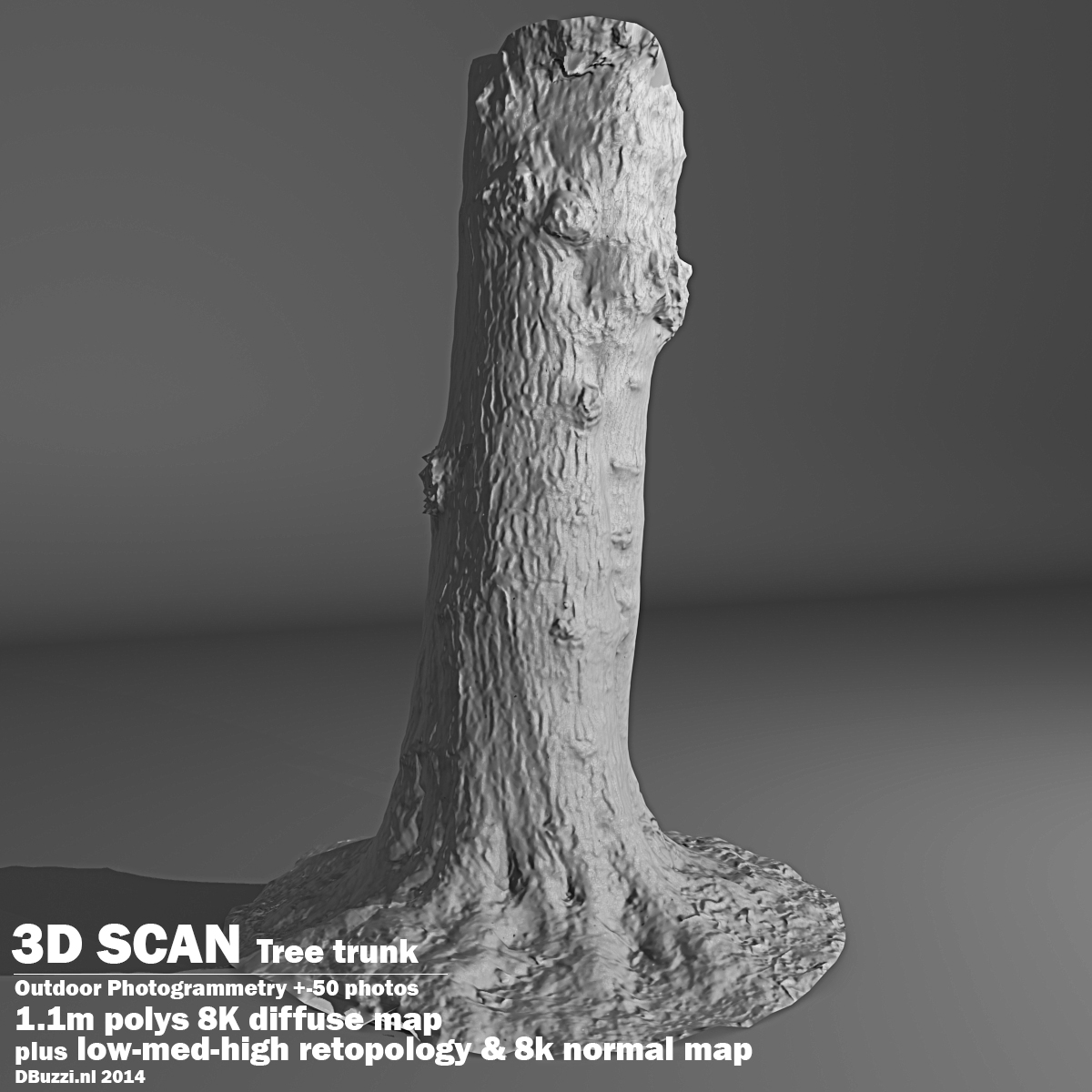 Scan tree trunk 3d model