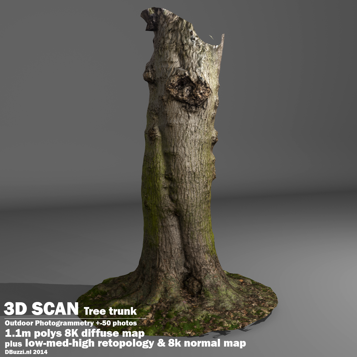 scan tree trunk 3d model