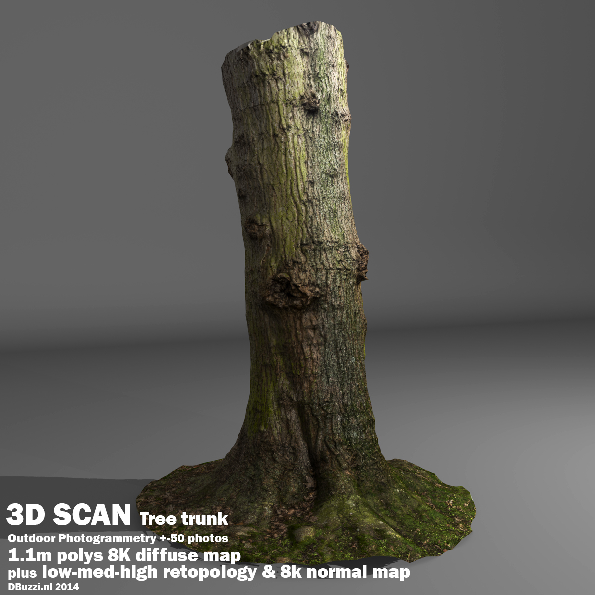 Scan tree trunk 3d model