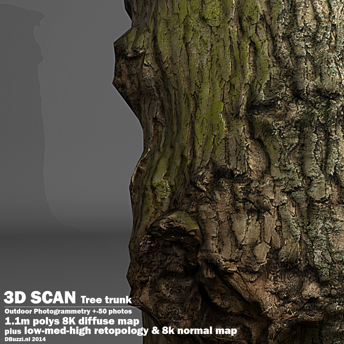 Scan tree trunk 3d model