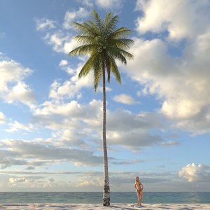 coconut palm tree 3d max