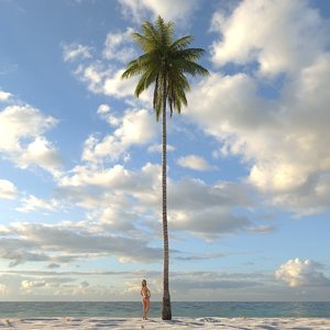 3d model coconut palm tree