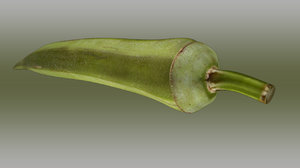 3d model okra abelmoschus esculentus