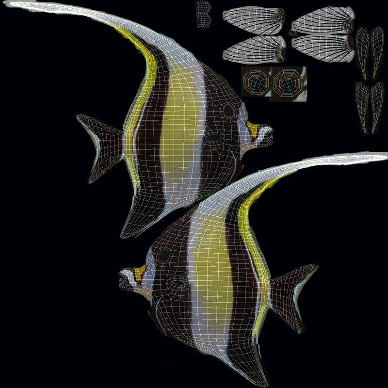 moorish idol yellow rigged max