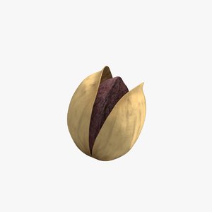 free pistachio nut 3d model