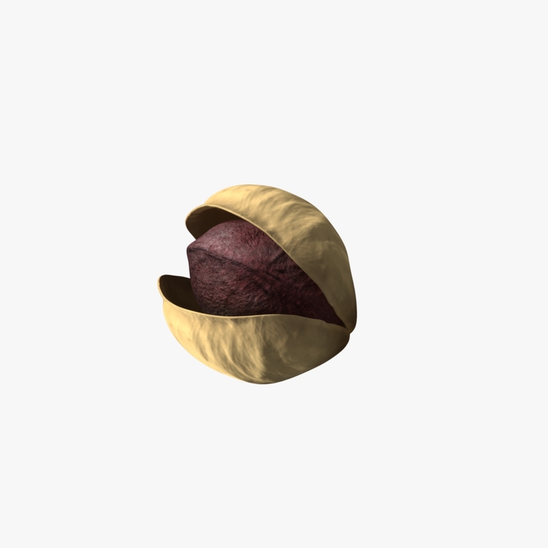 free pistachio nut 3d model