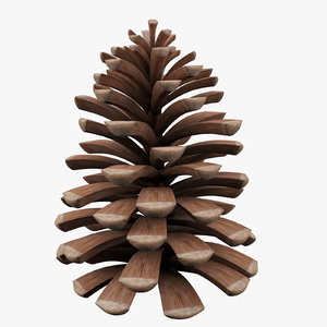 pine cone 3d max