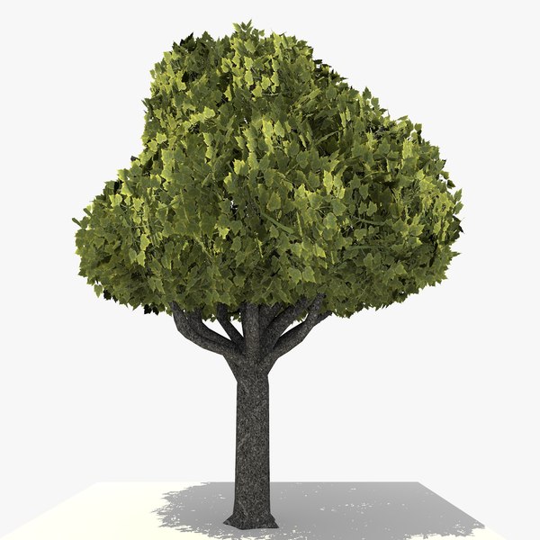 3D Studio Tree Obj Models | TurboSquid
