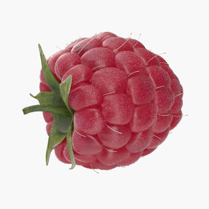 fresh raspberry 3d model