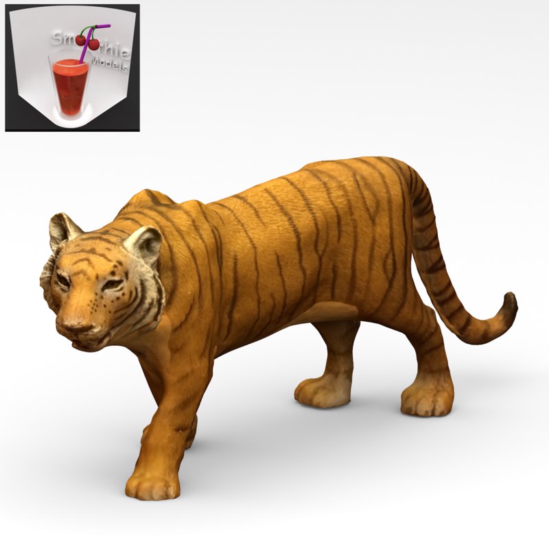 3d bengal tiger model 3d bengal tiger model