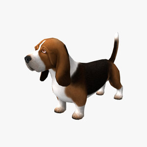 basset hound 3d model
