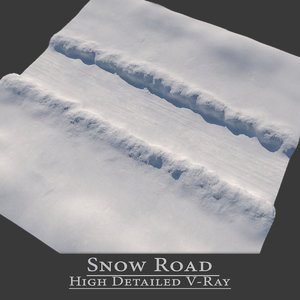 snow road max