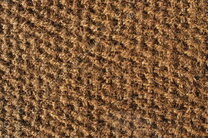Carpet_Texture_0012