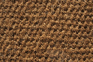 Carpet_Texture_0013
