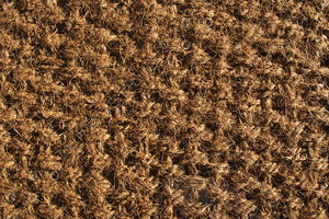 Carpet_Texture_0014