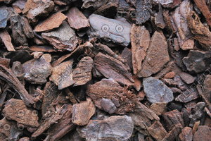 Mulch_Texture_0005