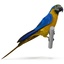 blue gold macaw rigged max