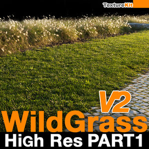 Wild Grass V2 High Res Part 1