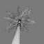 royal palm tree 3d model