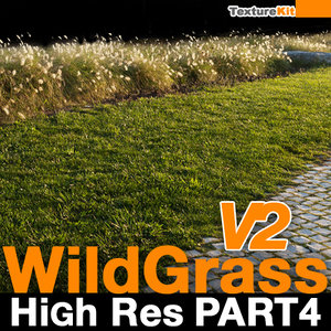 Wild Grass V2 High Res Part 4
