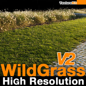 Wild Grass V2 High Resolution